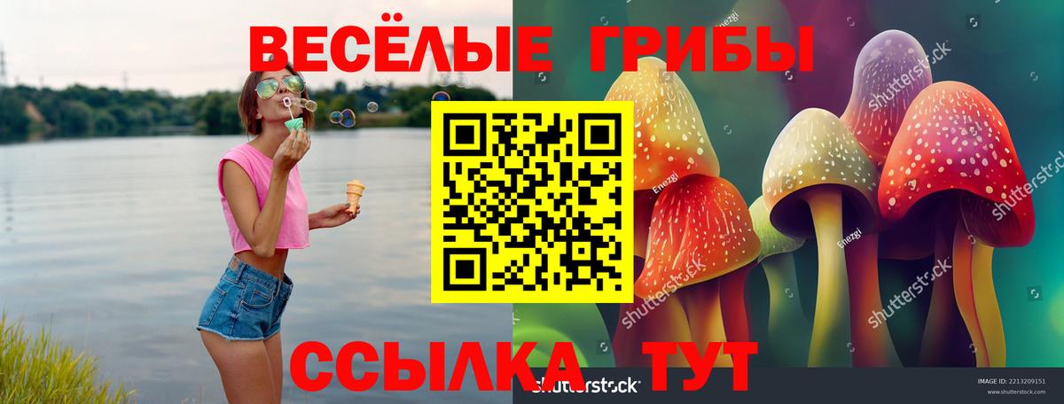 Галлюциногенные грибы MAGIC MUSHROOMS Чебоксары